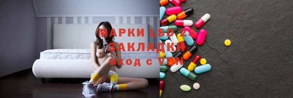 прущие грибы Армянск