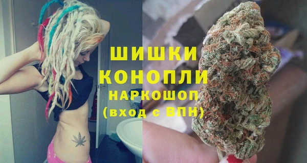 прущие грибы Армянск