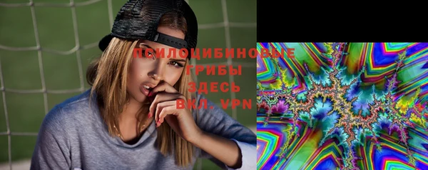 крисы Арсеньев