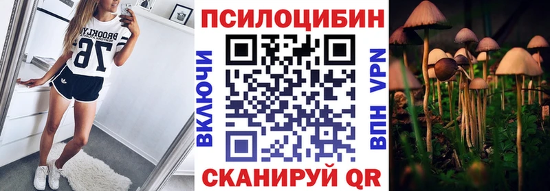 дарнет шоп  Малмыж  ссылка на мегу вход  Псилоцибиновые грибы MAGIC MUSHROOMS 